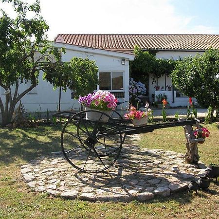 El Condado Casa Rural Fuentes de Onoro Екстериор снимка