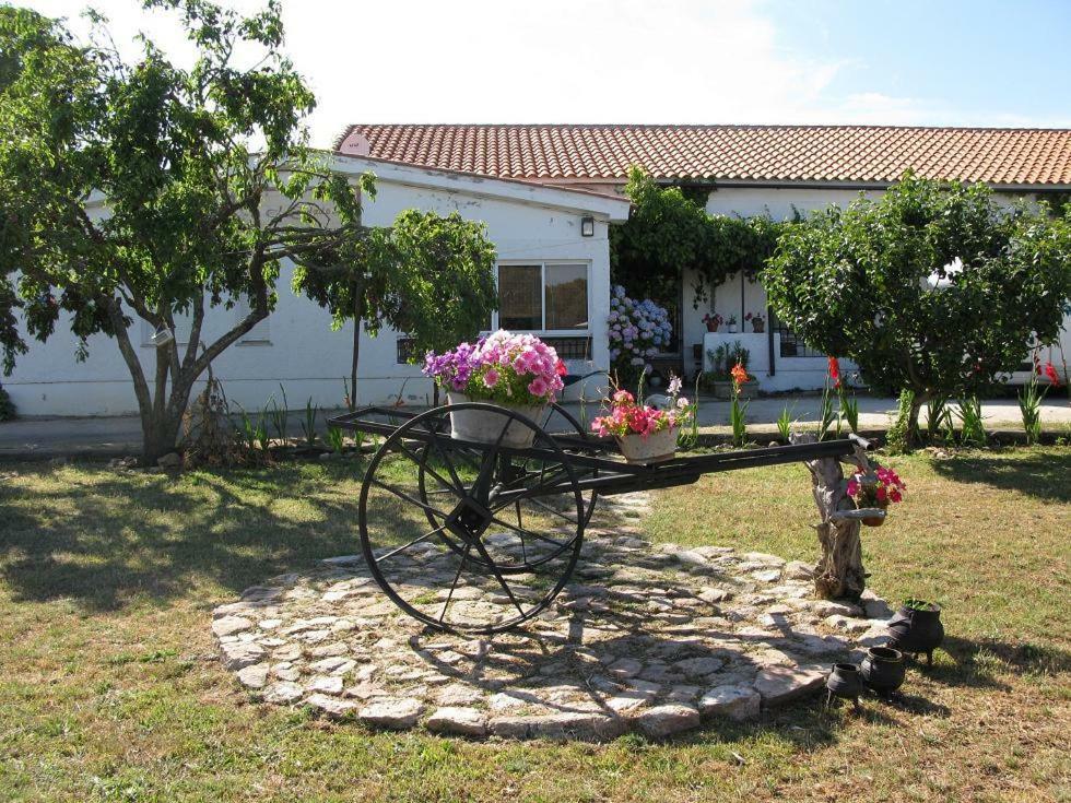 El Condado Casa Rural Fuentes de Onoro Екстериор снимка
